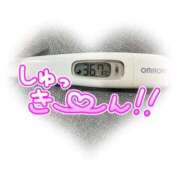 ヒメ日記 2026/01/19 10:17 投稿 マナ(奥方) 奥様幕府