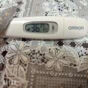 ヒメ日記 2026/03/17 09:57 投稿 マナ(奥方) 奥様幕府