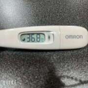 ヒメ日記 2026/03/19 10:07 投稿 マナ(奥方) 奥様幕府