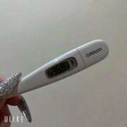 ヒメ日記 2026/03/20 09:37 投稿 マナ(奥方) 奥様幕府