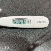 ヒメ日記 2026/03/23 09:47 投稿 マナ(奥方) 奥様幕府