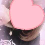 ヒメ日記 2026/03/24 05:37 投稿 マナ(奥方) 奥様幕府