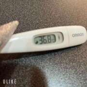 ヒメ日記 2026/03/24 09:47 投稿 マナ(奥方) 奥様幕府