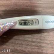 ヒメ日記 2026/03/31 16:07 投稿 マナ(奥方) 奥様幕府