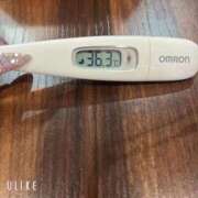 ヒメ日記 2026/04/01 09:57 投稿 マナ(奥方) 奥様幕府