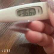 ヒメ日記 2026/04/02 09:47 投稿 マナ(奥方) 奥様幕府