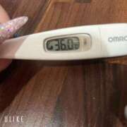 ヒメ日記 2026/04/07 09:48 投稿 マナ(奥方) 奥様幕府