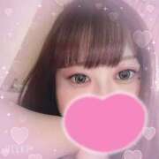 ヒメ日記 2026/04/14 03:47 投稿 マナ(奥方) 奥様幕府