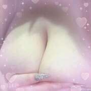 ヒメ日記 2026/04/15 03:30 投稿 マナ(奥方) 奥様幕府