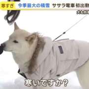 ヒメ日記 2025/12/04 20:31 投稿 ゆい Fの法則