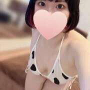 ヒメ日記 2025/12/30 08:53 投稿 ゆい Fの法則