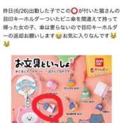 ヒメ日記 2026/06/27 17:28 投稿 ゆい Fの法則