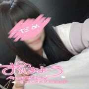 ヒメ日記 2025/04/24 08:19 投稿 みいな 熊本ちゃんこ　八代店