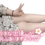 ヒメ日記 2025/04/26 15:19 投稿 みいな 熊本ちゃんこ　八代店