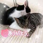 ヒメ日記 2025/05/29 18:19 投稿 みいな 熊本ちゃんこ　八代店