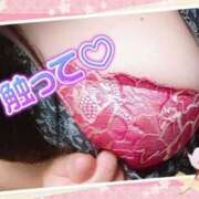 ヒメ日記 2025/06/01 12:49 投稿 みいな 熊本ちゃんこ　八代店