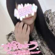 ヒメ日記 2025/06/20 07:49 投稿 みいな 熊本ちゃんこ　八代店