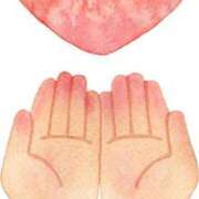 ヒメ日記 2025/06/26 12:29 投稿 みいな 熊本ちゃんこ　八代店