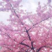 ヒメ日記 2025/03/23 19:50 投稿 東雲せつな やみつきエステ錦糸町店