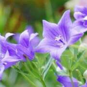 ヒメ日記 2025/07/22 21:03 投稿 ひめの 妻天 梅田店