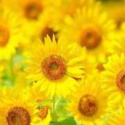 ヒメ日記 2025/09/02 22:27 投稿 ひめの 妻天 梅田店