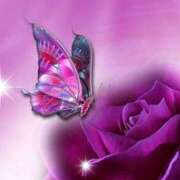 ヒメ日記 2026/02/05 08:08 投稿 ひめの 妻天 梅田店