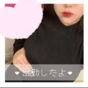 ヒメ日記 2025/04/29 14:02 投稿 ひまわり 横浜・関内サンキュー