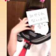 ヒメ日記 2025/09/14 20:02 投稿 ひまわり 横浜・関内サンキュー