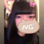 ヒメ日記 2025/10/01 11:12 投稿 ひまわり 横浜・関内サンキュー