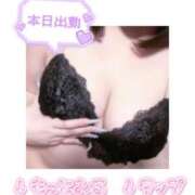 ヒメ日記 2025/11/23 18:32 投稿 ひまわり 横浜・関内サンキュー