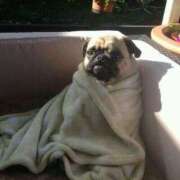 ヒメ日記 2025/04/30 10:31 投稿 ゆきの★ 新潟風俗 Cherish Amulet