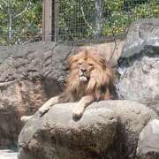 ヒメ日記 2025/05/02 12:29 投稿 ゆきの★ 新潟風俗 Cherish Amulet