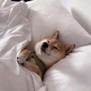 ヒメ日記 2025/05/20 12:01 投稿 ゆきの★ 新潟風俗 Cherish Amulet