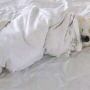 ヒメ日記 2025/06/21 10:31 投稿 ゆきの★ 新潟風俗 Cherish Amulet