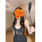 ヒメ日記 2025/09/23 01:46 投稿 上島まゆみ MIRAI TOKYO 新宿店