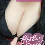 ヒメ日記 2025/02/17 14:53 投稿 あんな KIREI（五反田）