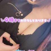 ヒメ日記 2025/03/11 14:46 投稿 あんな KIREI（五反田）