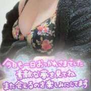 ヒメ日記 2025/03/12 05:24 投稿 あんな KIREI（五反田）