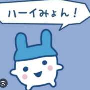 ヒメ日記 2025/07/22 04:45 投稿 美月 あやは RANUNCULUS(ラナンキュラス)