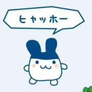 ヒメ日記 2025/07/22 09:05 投稿 美月 あやは RANUNCULUS(ラナンキュラス)