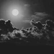 ヒメ日記 2025/07/23 01:05 投稿 美月 あやは RANUNCULUS(ラナンキュラス)