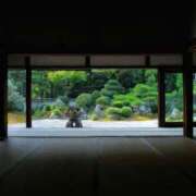 ヒメ日記 2025/07/23 04:15 投稿 美月 あやは RANUNCULUS(ラナンキュラス)