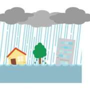 ヒメ日記 2025/09/19 03:55 投稿 美月 あやは RANUNCULUS(ラナンキュラス)