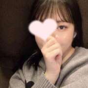 ヒメ日記 2025/01/19 15:32 投稿 うさ【愛嬌抜群！ドM美女】 STELLA TOKYO－ステラトウキョウ－