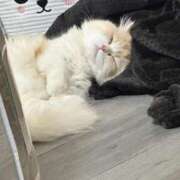 ヒメ日記 2025/01/13 09:42 投稿 希星 G-SPOT 土浦店