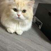 ヒメ日記 2025/03/05 10:36 投稿 希星 G-SPOT 土浦店