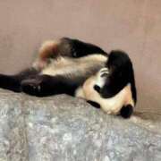 ヒメ日記 2025/05/10 16:59 投稿 希星 G-SPOT 土浦店