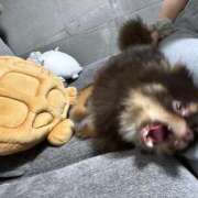 ヒメ日記 2025/05/12 09:58 投稿 希星 G-SPOT 土浦店