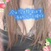 ヒメ日記 2025/03/07 07:45 投稿 みすず 横浜人妻花壇本店