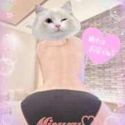 ヒメ日記 2025/03/09 09:32 投稿 みすず 横浜人妻花壇本店